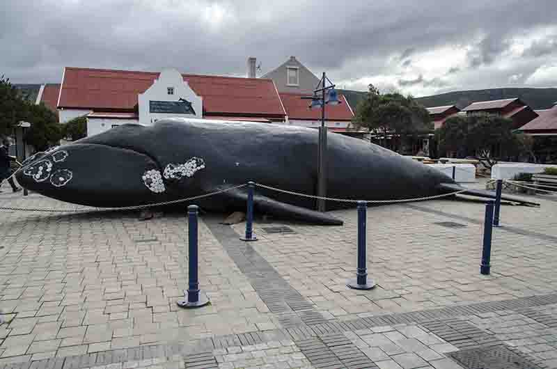 79 - Sudafrica - Hermanus - escultura ballena